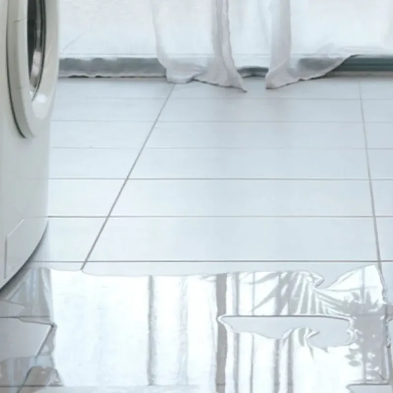 Appliance Leak Cleanup in Parkwood, WA